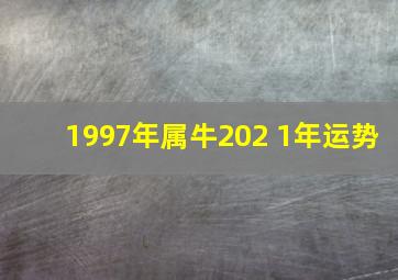 1997年属牛202 1年运势